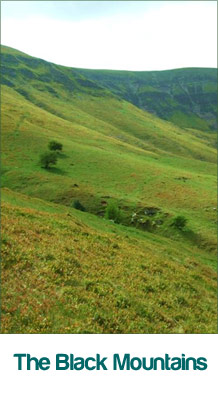 newcourt campsite assessment risk